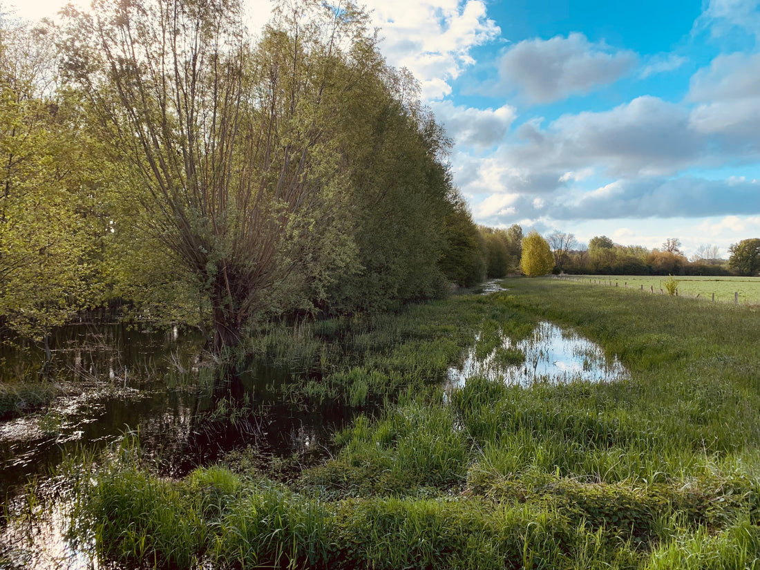 Eine Hommage an den Niederrhein